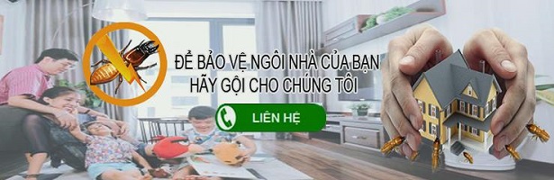 đặt công ty diệt mối tại Hưng Yên